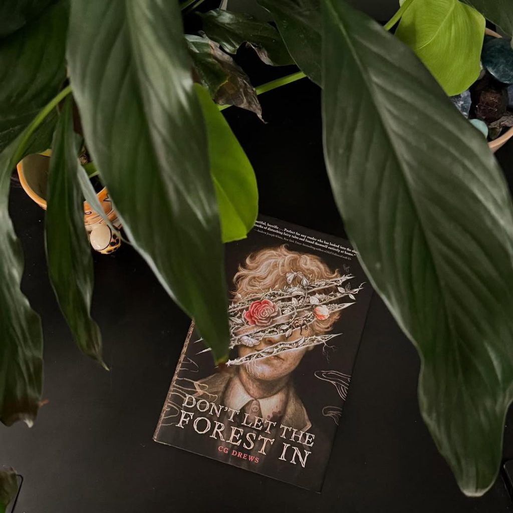 DON'T LET THE FOREST IN - CG DREWS